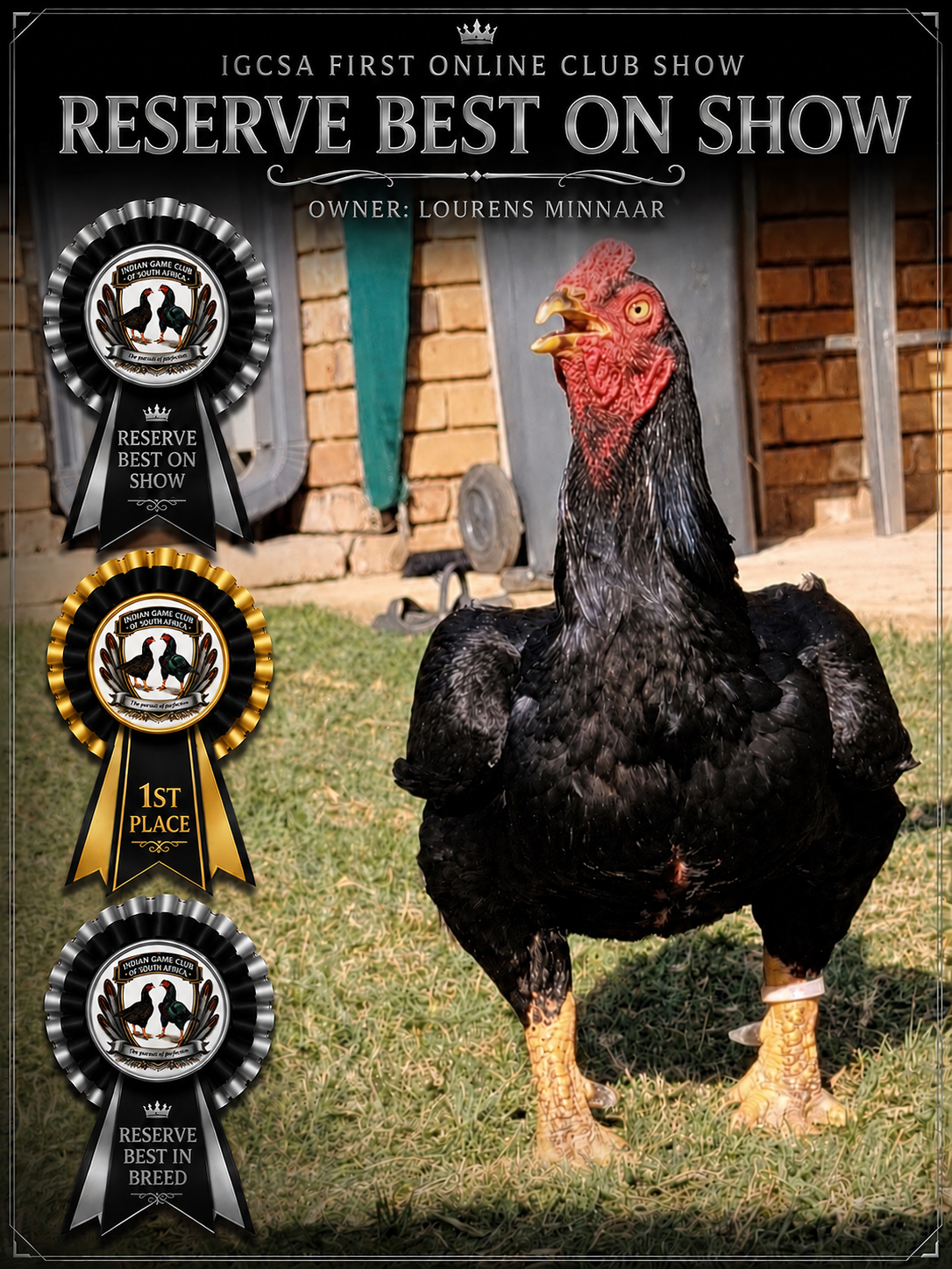 IGCSA First Online Club Show Reserve Best on Show rosette poster, owner Lourens Minnaar